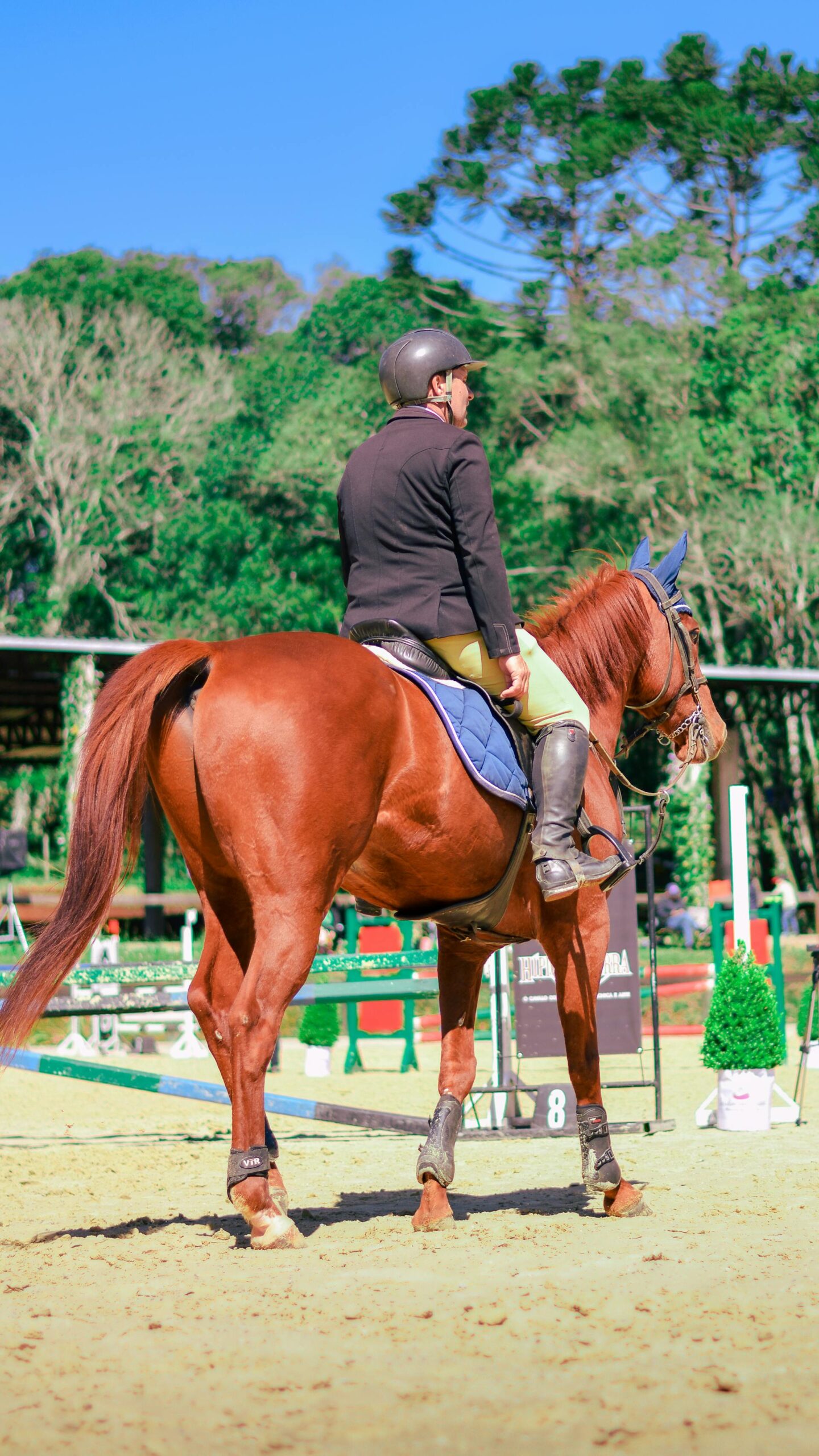 Front Page -Equestrian Supply Store pexels alisson joan 193021041 14556375 scaled