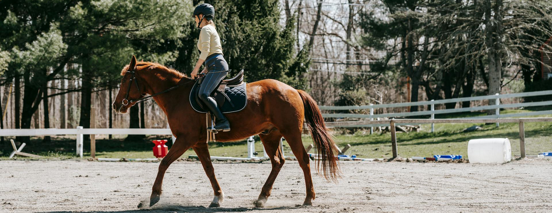 Front Page -Equestrian Supply Store pexels barbara olsen 7882508