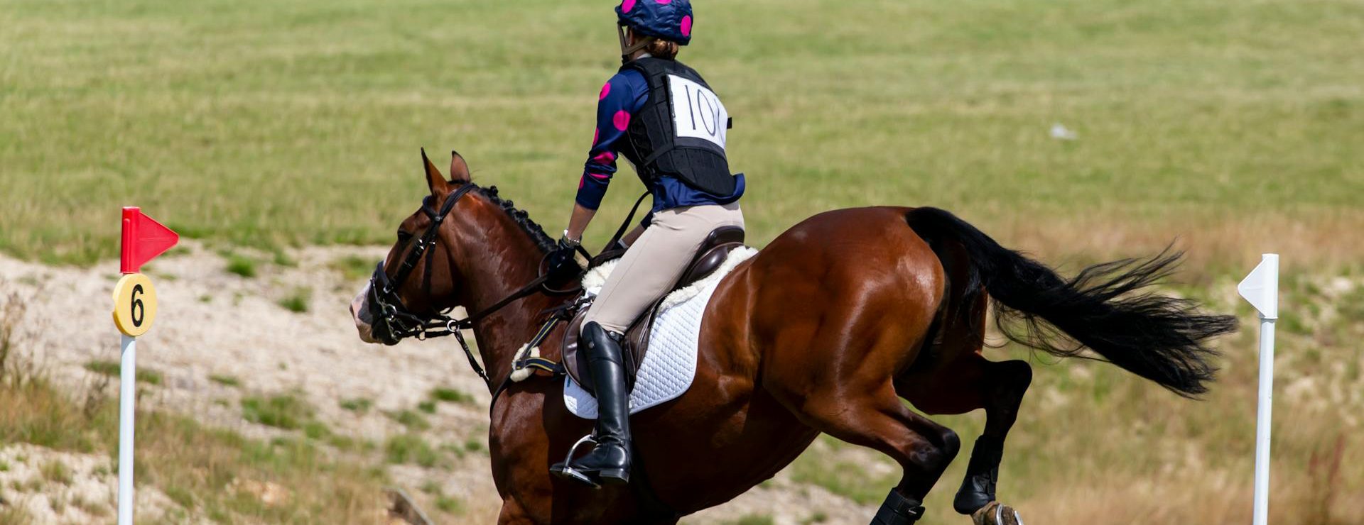 Front Page -Equestrian Supply Store pexels theotherkev 5655497